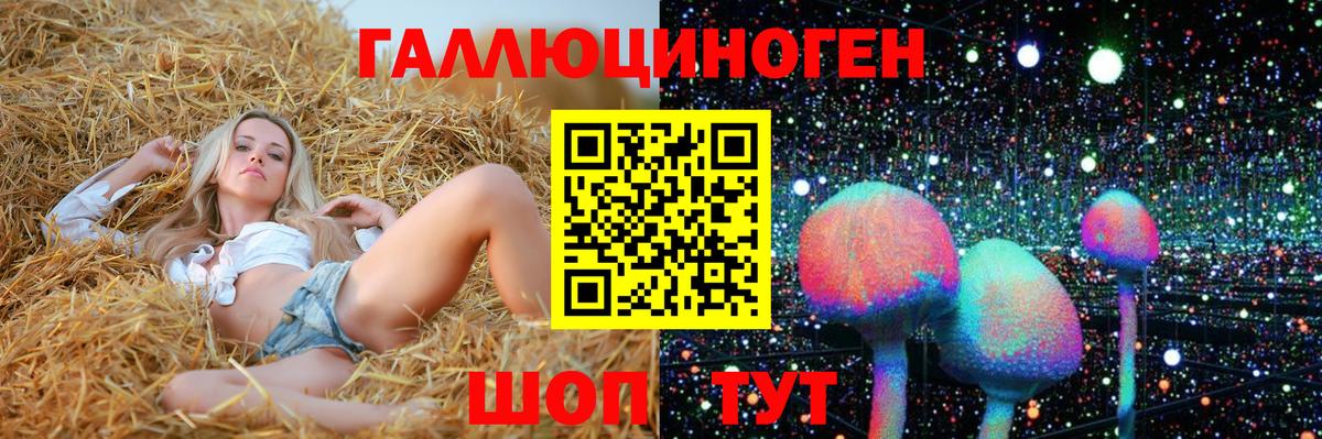 Галлюциногенные грибы Cubensis Тавда